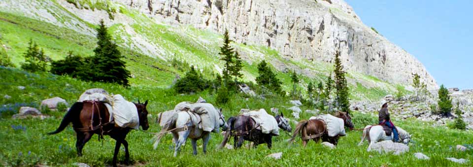 Wyoming Pack String with Beard Mountain Ranch